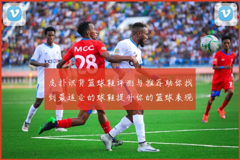 虎扑识货篮球鞋评测与推荐助你找到最适合的球鞋提升你的篮球表现