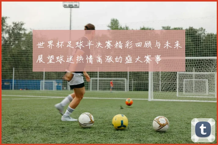 世界杯足球半决赛精彩回顾与未来展望球迷热情高涨的盛大赛事