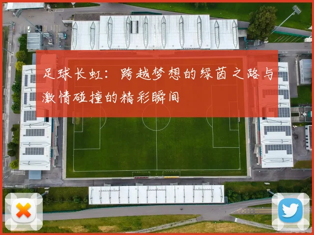 足球长虹：跨越梦想的绿茵之路与激情碰撞的精彩瞬间